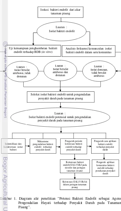 Gambar 1. Diagram alir penelitian ”Potensi Bakteri Endofit sebagai Agens 
