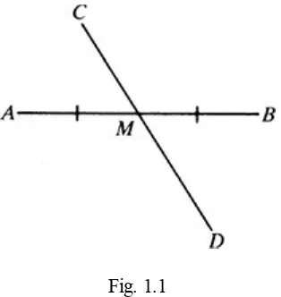 Fig. 1.1