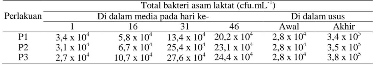 Tabel 3 Total bakteri asam laktat selama penelitian 