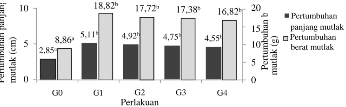 Gambar 1. Grafik pertumbuhan panjang dan berat mutlak ikan patin. 