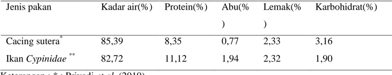 Tabel 4. Kandungan nutrisi cacing sutera dan ikan Cypinidae  Jenis pakan  Kadar air(%)  Protein(%)  Abu(%