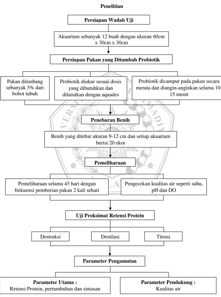 Diagram alur penelitian dapat dilihat sebagai berikut : Gambar 2. Alur 