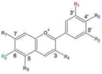 Gambar 2. Struktur Kimia Antosianin (Anon., 2013) 