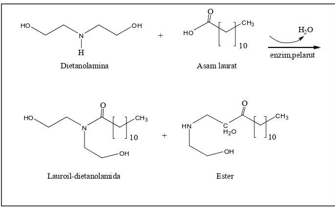 Gambar 1.1   Reaksi Pembentukan Lauroil-dietanolamida dari Asam Laurat dan           Dietanolamina 