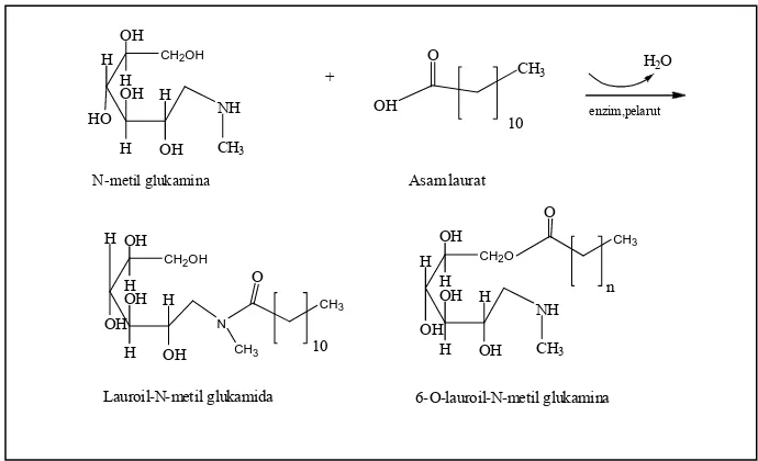 Gambar 1.2   Reaksi Pembentukan Lauroil-N-metil Glukamida dari Asam Laurat  