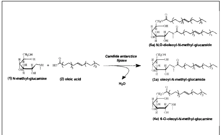 Gambar 1.4   Hasil Analisa HPLC Secara Bertahap pada Amidasi N-metil           Glukamina dengan Asam Oleat oleh Maugard, dkk