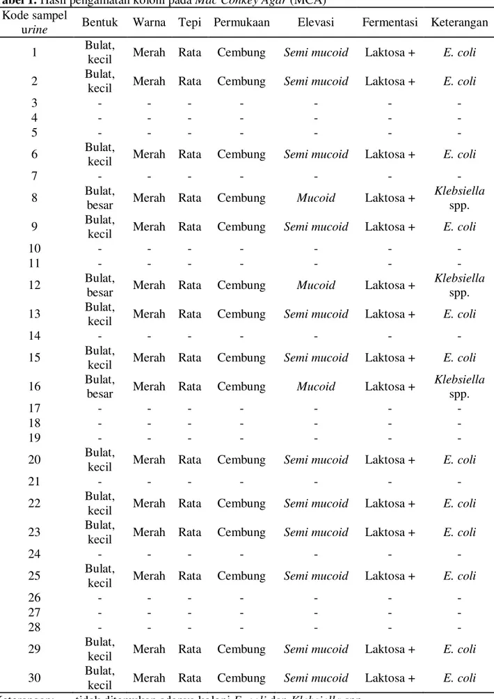 Tabel 1. Hasil pengamatan koloni pada Mac Conkey Agar (MCA) 