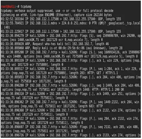 Figure 1-5   Tcpdump capturing packets