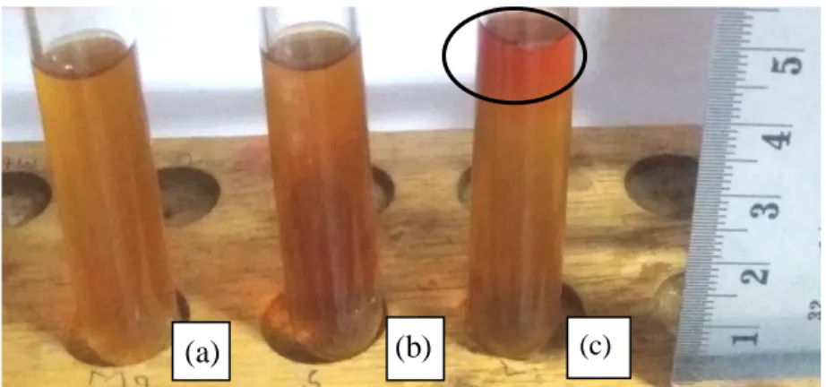 Gambar  5.    Hasil  uji  (a)  Indol,  (b)  MR,  dan  (c)  VP  pada  Klebsiella  spp.  Uji  VP  bernilai  positif  ditunjukkan dengan adanya cincin/warna merah pada media 