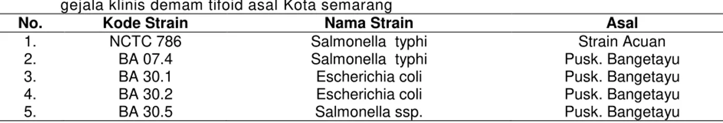 Tabel 1. Strain bakteri batang gram negatif hasil isolasi dari sampel darah  Widal positif pada pasien  gejala klinis demam tifoid asal Kota semarang 