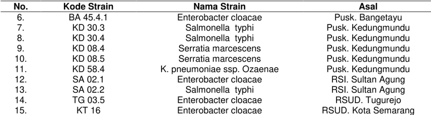 Gambar 2. Dendogram yang menunjukkan hubungan similaritas antara  15 strain bakteri kokus gram positif  hasil isolasi dari sampel darah Widal 
