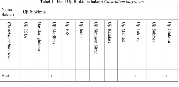 Tabel 1.  Hasil Uji Biokimia bakteri Clostridium butyricum  Nama 