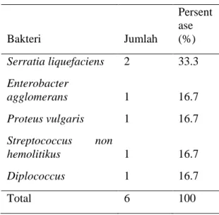 Tabel 7.  Hasil Identifikasi Bakteri Kategori  Peralatan Medis  Bakteri  Jumlah  Persentase (%)  Bacillus subtilis  8  80  Lactobacillus  1  10  Proteus mirabilis  1  10  Total  10  100 