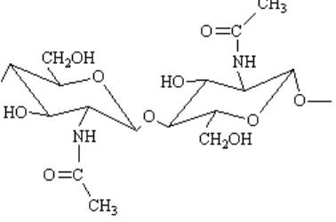 Gambar 2.2 Struktur kitosan ( Lestari, dkk, 2011) 