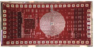FIGURE 1.5Miniaturized sensor as a two-chip stack.