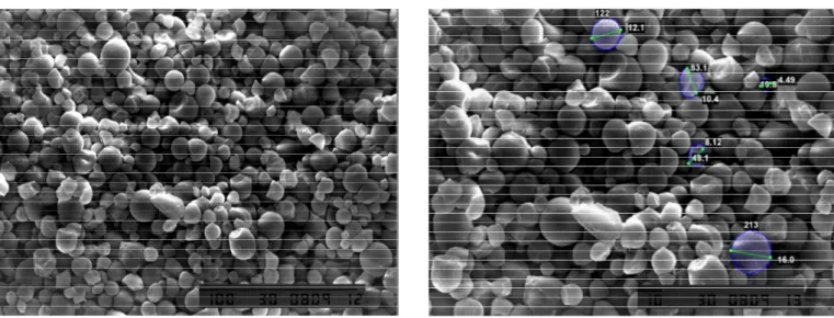 Gambar 3.   Hasil pengamatan SEM tapioka konsentrasi substrat 40 % dan konsentrasi asam suksinat 5 % dengan metode Microwave pada perbesaran 500x dan  750x