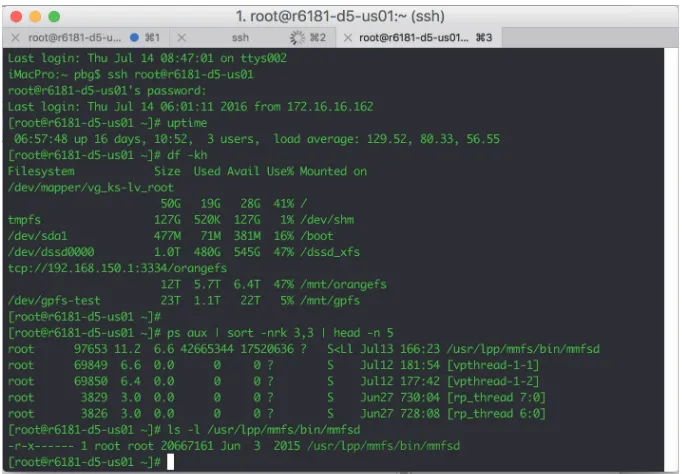 Figure 2.2The bash shell command interpreter in macOS.