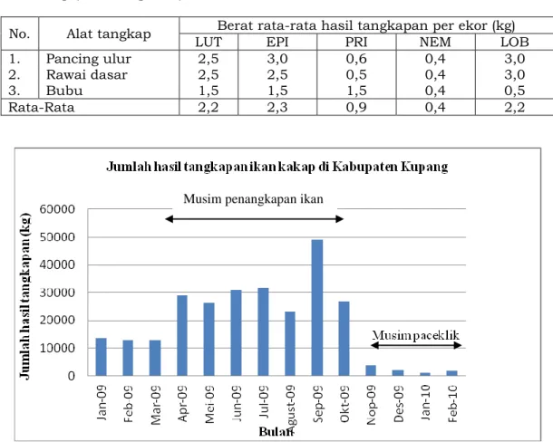 Gambar 1. Produksi ikan kakap di Kabupaten Kupang selama bulan Januari 2009 –  Februari 2010 