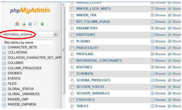 Gambar 3.8 Database information_schema 