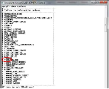 Gambar 3.9 Tabel pada Information_schema 