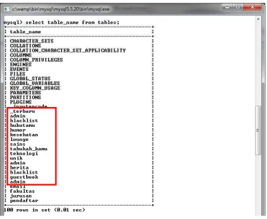 Gambar 3.11 Isi table_name 