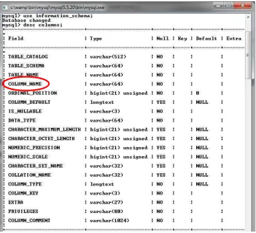 Gambar 3.12 Deskripsi COLUMNS 
