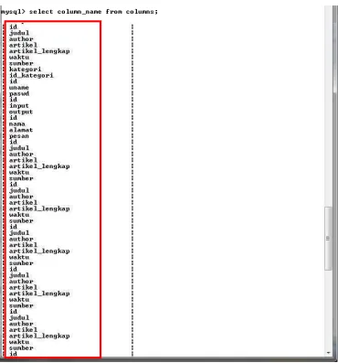 Gambar 3.13 Isi column_name 
