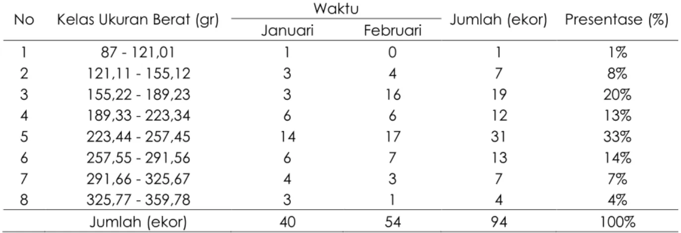 Tabel  3.    Distribusi  Kelas  Ukuran  Berat  Tubuh  (gr)  Kepiting  Bakau    Scylla  sp.Betina  Hasil 