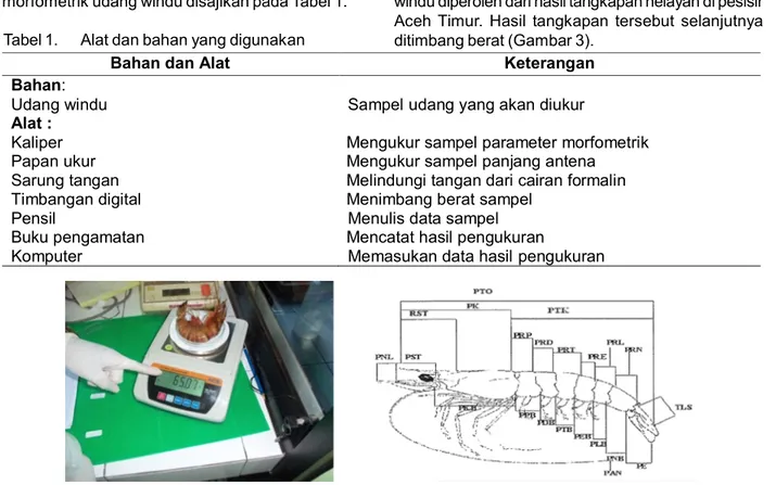 Tabel 1. Alat dan bahan yang digunakan