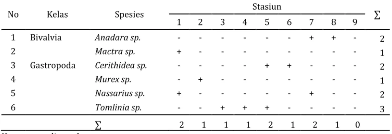 Tabel 2. Komposisi makrozoobentos yang ditemukan (indv) 