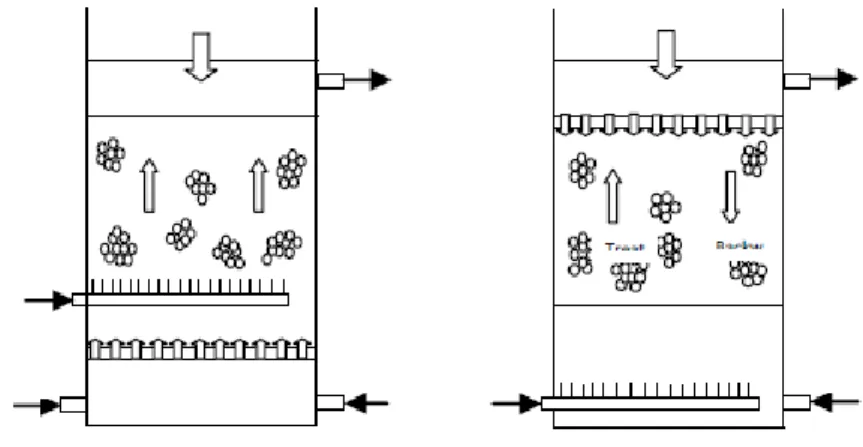Gambar 2.2 Biological Aerated Filter Sistem Aliran Upflow  dan Downflow (Pramanik et al., 2012) 