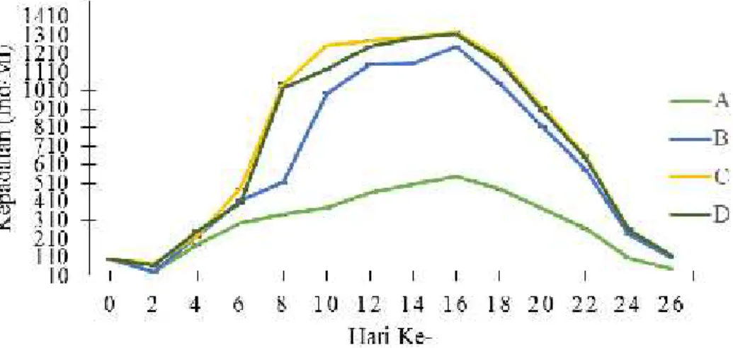 Gambar 1. Grafik pola pertumbuhan populasi Daphnia sp.