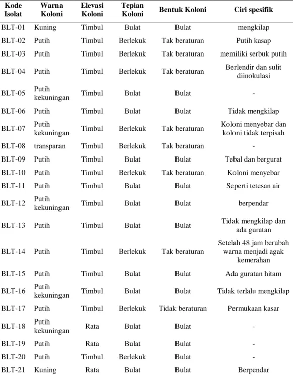 Tabel 1. Karakter morfologi bakteri proteolitik terpilih 