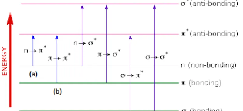 Gambar 3. Jenis eksitasi elektronik.  (https://www.chemistry.msu.edu) 