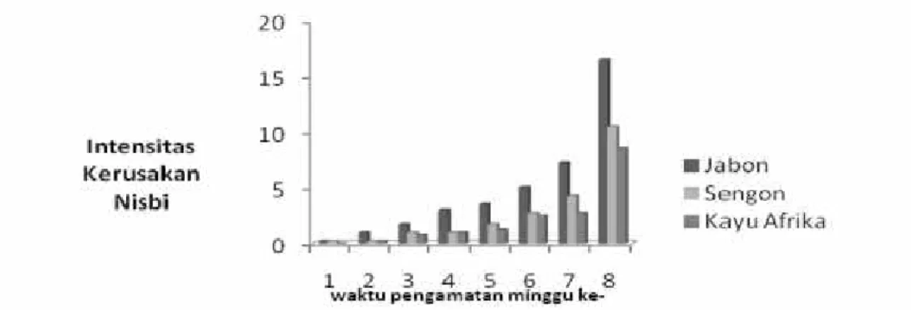 Gambar 3. Perubahan intensita laut,  dan kayu  af Rezeki Lampung B