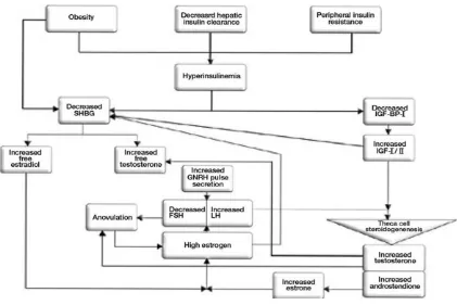 Gambar 5. Potensial mekanisme dari resistensi insulin pada polycystic ovary syndrome 