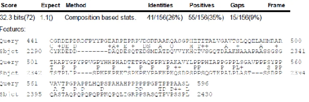 Gambar 1. Hasil BLASTp capsid scaffold protein HSV-1 dengan protein manusia 