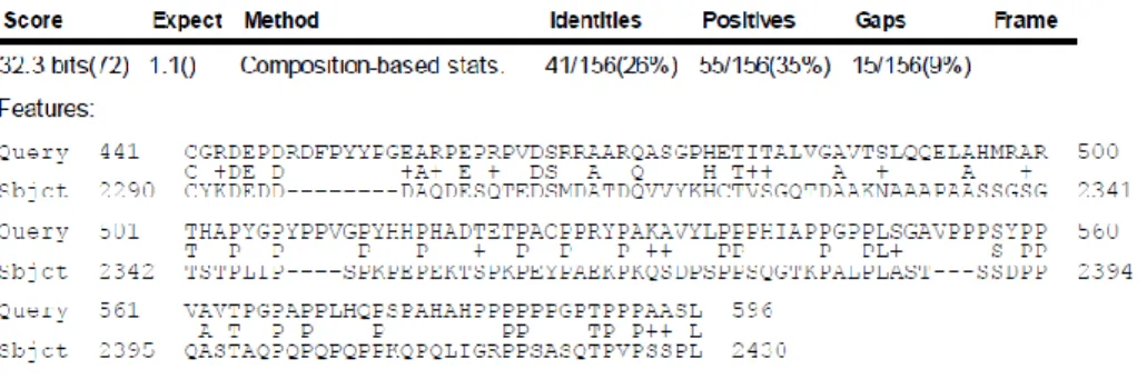 Gambar 1. Hasil BLASTp capsid scaffold protein HSV-1 dengan protein manusia 
