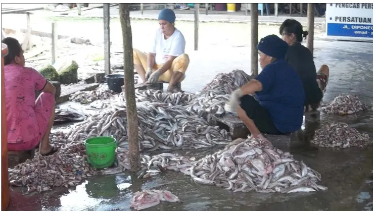 Gambar 3. Pengolahan Ikan Asin (Penyiangan) 