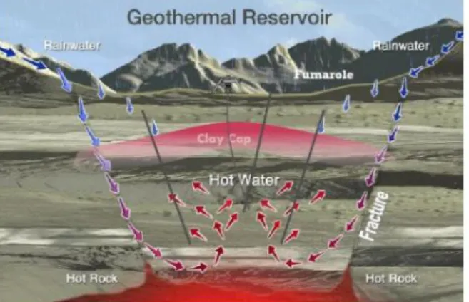 Gambar 1. Model Sistem Geotermal [5]  Sistem geotermal terdiri dari tiga elemen  utama: (1) batuan reservoir yang permeabel, (2)  air  yang  membawa  panas  dari  reservoir  ke  permukaan  bumi,  dan  (3)  sumber  panas  [6]