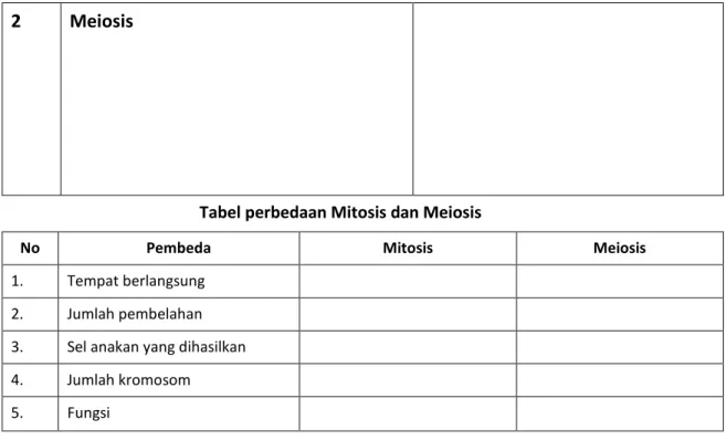 Tabel perbedaan Mitosis dan Meiosis 