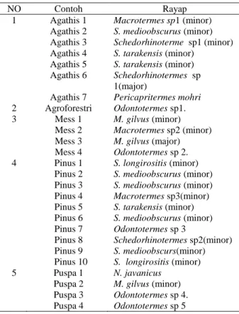 Tabel 3  Spesies-spesies  rayap  yang  dapat  ditemukan  diberbagai lokasi yang berbeda
