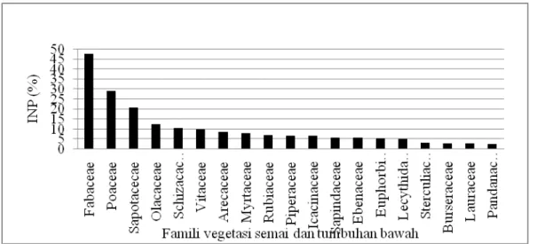 Gambar 9.  Urutan famili tingkat semai dan tumbuhan bawah berdasarkan INP. 