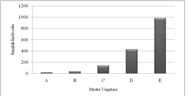 Gambar 4.  Strata vegetasi yang terdapat di seluruh plot contoh. 
