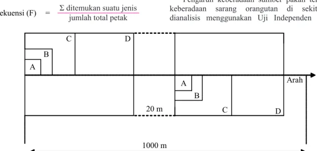 Gambar 2. Bentuk dan ukuran petak pengamatan inventarisasi vegetasi  dengan metode garis berpetakArah A B C 20 m 1000 m A B C D D LBDS suatu jenisluas petak contoh (ha)