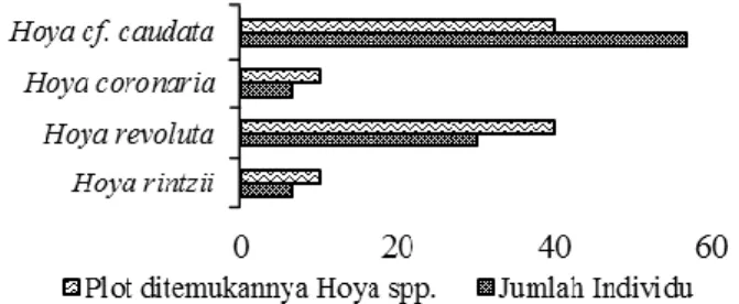 Tabel  1  Habitat  Hoya  spp.  dan  sebarannya  secara  vertikal pada pohon forofit 