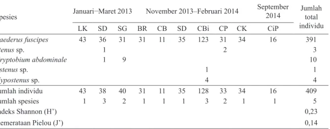 Tabel 2. Jumlah individu kumbang staphylinid di habitat pertanaman padi di Bogor dan sekitarnya