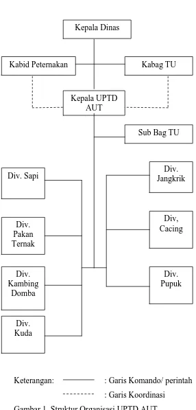 Gambar 1. Struktur Organisasi UPTD AUT 