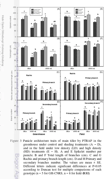 Figure 3 Panicle architecture traits of main tiller by PTRAP in the 