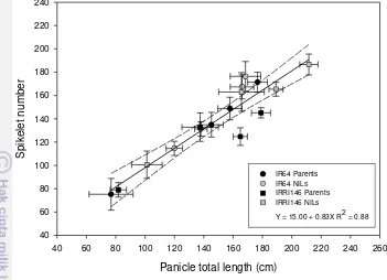 Figure 4 Relationships between panicle total length (cm) and spikelet 